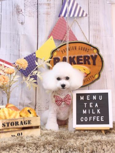 20240914ゆわちゃん